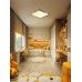 Потолочный светильник Scandinavian LED LAMPS 81412 Natali Kovaltseva