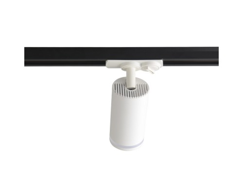 Трековый светильник Basic CLT 0.31 019 WH Crystal Lux
