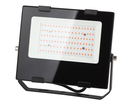 Светильник для растений  FITO-50W-RB-LED ЭРА