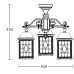 Потолочный светильник уличный LONDON S 64870SA/3 Bl Oasis Light