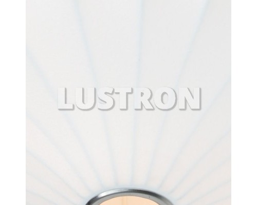 Потолочный светильник Cocoon A6090PL-2WH Arte Lamp