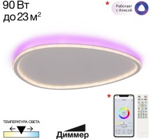 Потолочный светильник Тrio CL215B260E Citilux