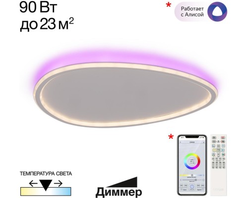 Потолочный светильник Тrio CL215B260E Citilux