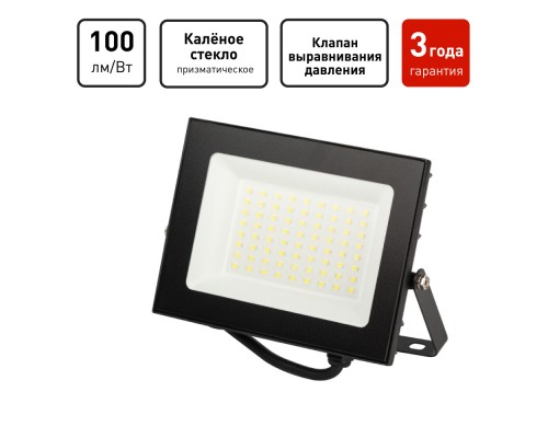 Прожектор уличный LPR-06 LPR-062-0-65K-050 ЭРА