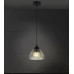 Подвесной светильник Dzhenis WD4004/1P-BK-GN Wedo Light