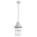 Уличный светильник подвесной Prague A1465SO-1WG Arte Lamp