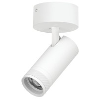 Спот Canno Pro C4206SO Lightstar
