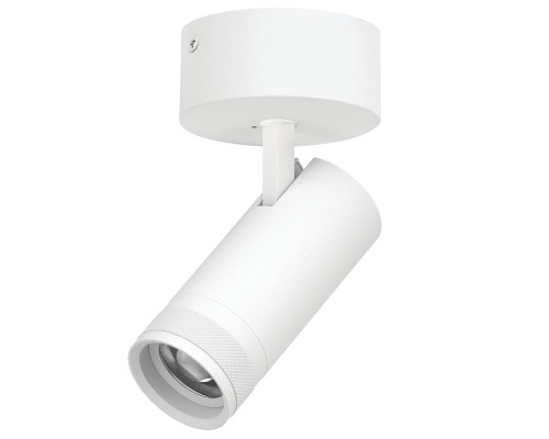 Спот Canno Pro C4206SO Lightstar
