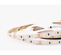 Светодиодная лента  005881 LEDS Power