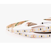 Светодиодная лента  005881 LEDS Power