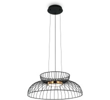Подвесной светильник Citrus FR5398PL-L6B Freya