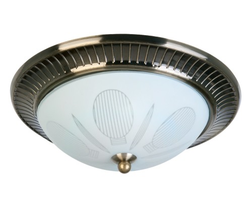 Потолочный светильник Fae TL5060Y-02AB TopLight
