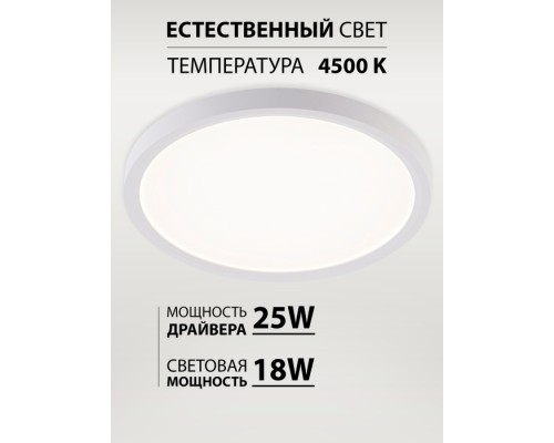 Потолочный светильник Plain LED LAMPS 81113/2C Natali Kovaltseva