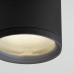 Потолочный светильник уличный Light 35128/H черный Elektrostandard