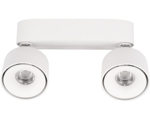 Спот Focus 10323/2A White Loft It