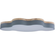 Потолочный светильник Axel 10005/36 Grey Loft It