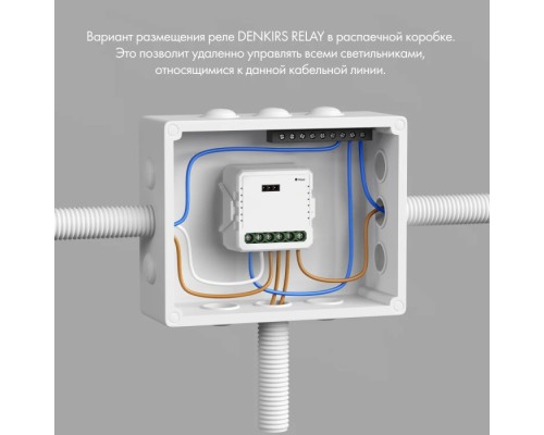 Wi-Fi реле Relay RL1002-SM Denkirs