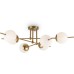 Потолочная люстра Damask FR5205PL-06BS Freya