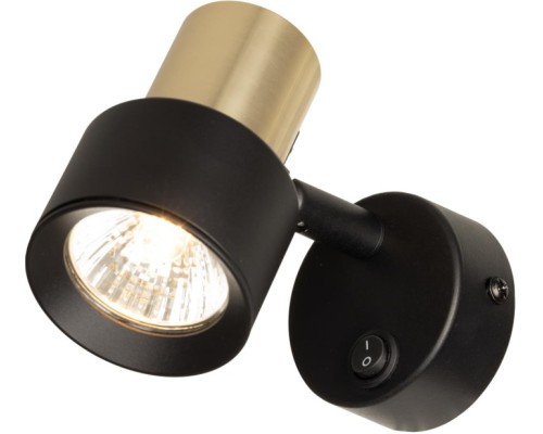 Спот Sat CL505611 Citilux