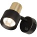 Спот Sat CL505611 Citilux