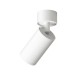 Точечный светильник TUBE DK2029-WH Denkirs