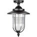 Потолочный светильник уличный TITAN 84705A Bl Oasis Light
