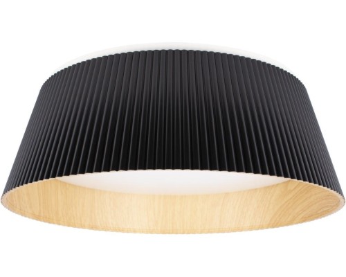 Потолочный светильник Evans 10224 Black Loft It