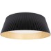 Потолочный светильник Evans 10224 Black Loft It