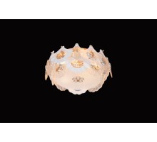Потолочный светильник Infinita FL1152-5C Fluorite