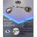 Спот Lima 66719.01.15.02 Wedo Light