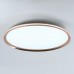 Потолочный светильник LED4U L3020-600 GD LED4U