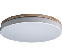 Потолочный светильник Axel 10001/36 White Loft It