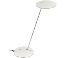 Офисная настольная лампа Ньютон CL803030 Citilux