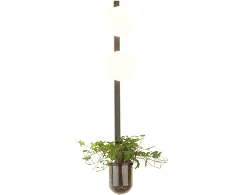 Бра Flower 4681/2WA Odeon Light