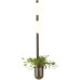 Бра Flower 4681/2WA Odeon Light