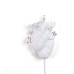 Бра Love in Bloom 09925 Seletti