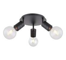Спот Hermine 54030-3 Globo