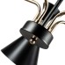 Потолочная люстра Wellington A2711PL-5BK Arte Lamp