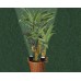 Грунтовый светильник Plantdart 50325 Paulmann