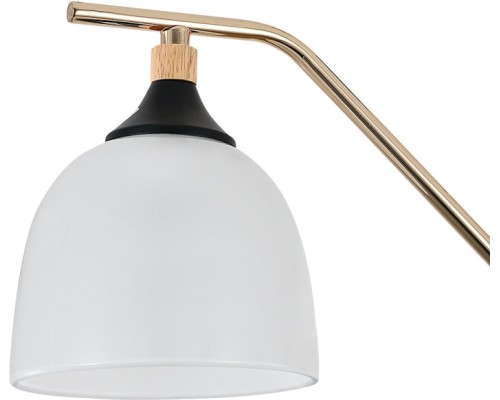 Подвесная люстра Actinidia 2123/3P Escada