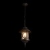 Уличный светильник подвесной Prato 100021P Loft It