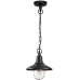 Уличный светильник подвесной Campa 4965/1 Odeon Light