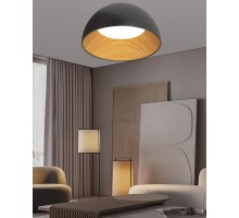 Потолочный светильник  F0724-14 Alfa Light