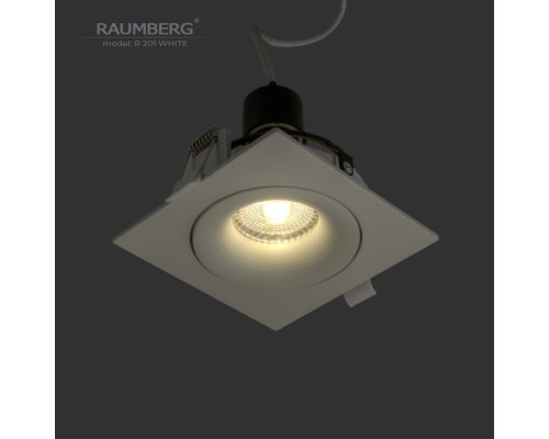 Точечный светильник  R201Wh Raumberg