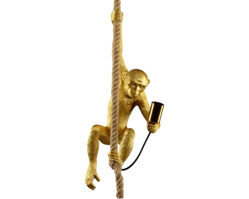 Подвесной светильник Monkey 52650 6 Ritter