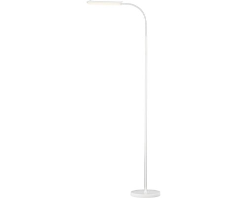 Торшер Alex CL804050 Citilux