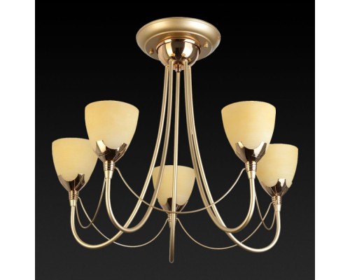 Потолочная люстра Lucia TL3630X-05MG TopLight