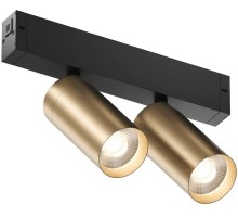 Трековый светильник SMART SPOT DK8012-BG Denkirs