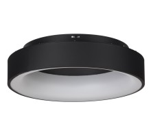 Потолочный светильник Shannon MR2193-1PL MyFar