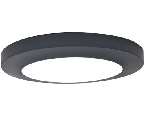 Потолочный светильник уличный SIDNEY LED W3922 Gr Oasis Light